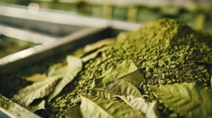 kratom