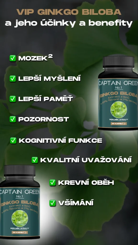 VIP Ginkgo Biloba - Kognitivní Král